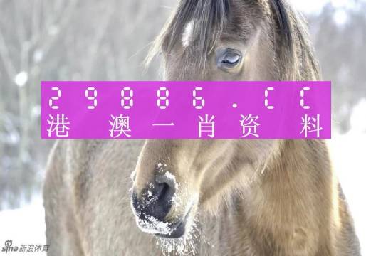 澳门一肖一码100%准确?，综合解答解释落实_f3b49.84.82
