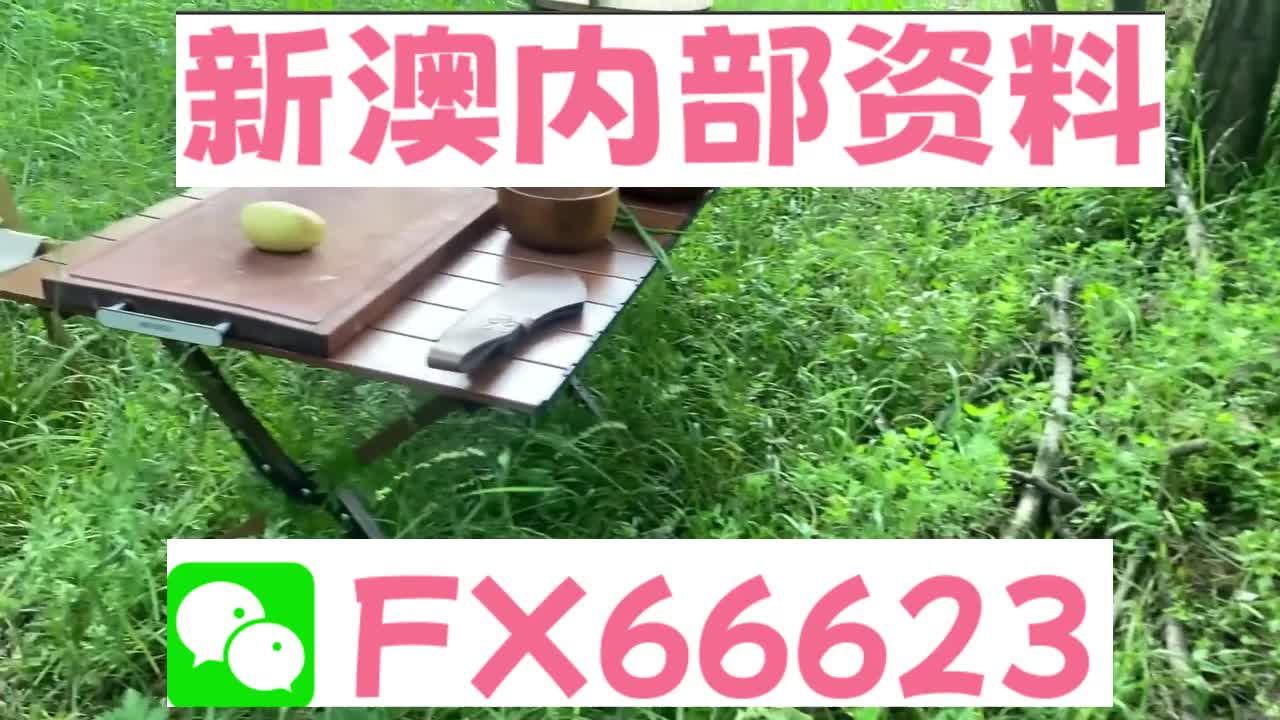老奇人持码资料大全，精准解答解释落实_l164.20.08