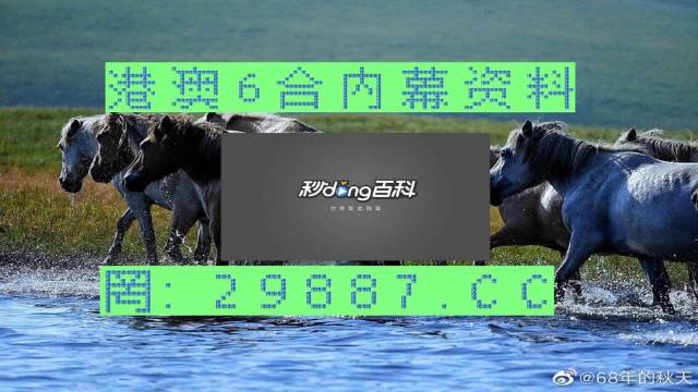 2025澳门马会正版资料查询，深度解答解释落实_rgm69.54.49