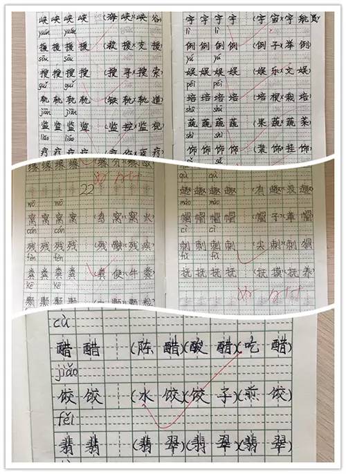 黄大仙选黄大仙一码一肖，前沿解答解释落实_o7v76.12.55
